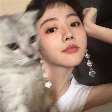 宠物精灵宝可梦满v版下载